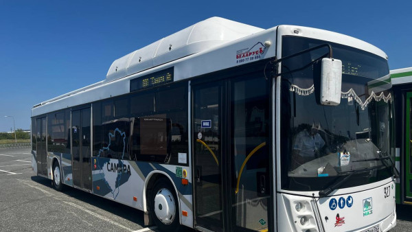 63.ру: как в Самаре появился пассажирский перевозчик «Ирбис» из Тулы