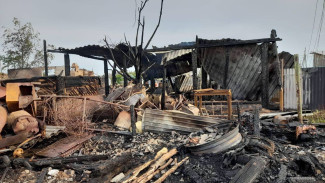 Двое погибли, один пострадал: в Самарской области произошел страшный пожар