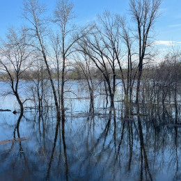Опубликованы данные о паводковой обстановке в Самарской области на 29 апреля 