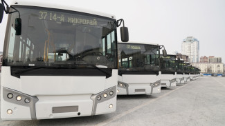 На дороги Самары выйдут 20 дополнительных новых автобусов