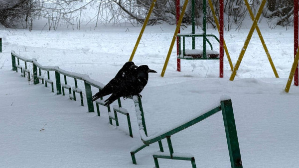 Самарские синоптики рассказали о погоде в последние дни новогодних каникул