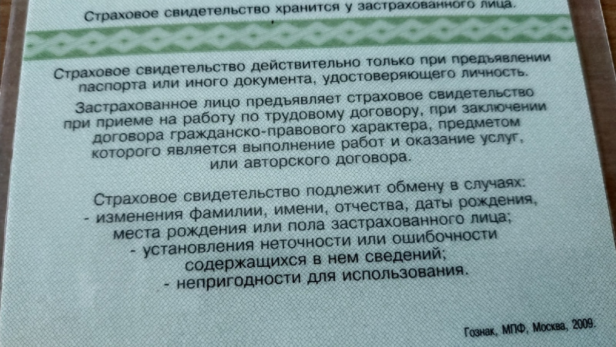 Снилс Фото 2022 Года
