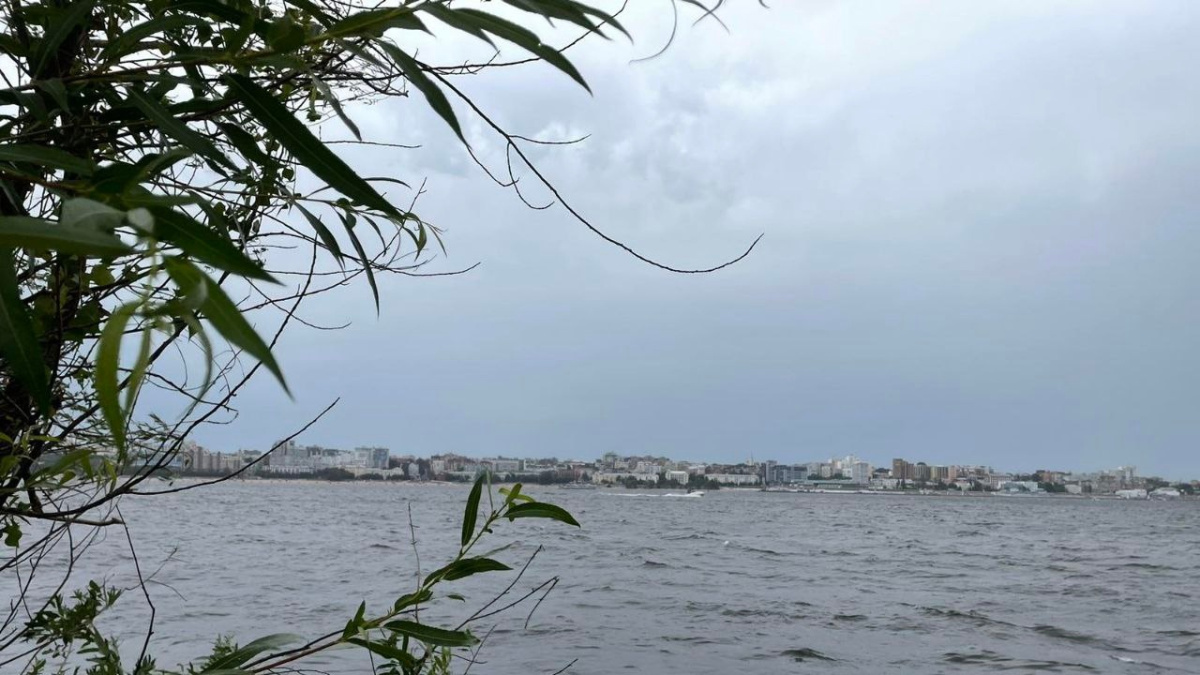 Шкала бакфорда. Ветер и береза картинка. Ветер 6 баллов по шкале бофорта. Ветер 4 м/с по шкале бофорта. Торнадо.