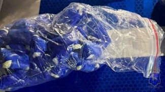 Оренбургский наркодилер попался в Самарской области за езду без ремня безопасности