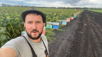 Самарский фермер Леонид Гоминюк рассказал о появлении новых БПЛА в полях