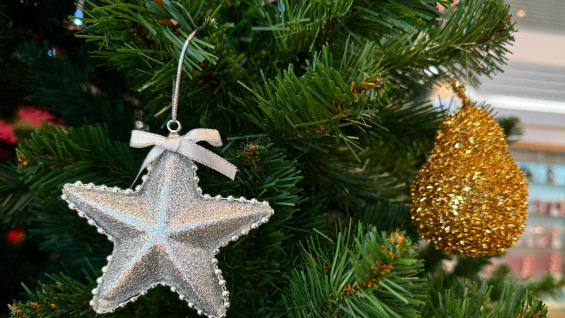 Самарцам представили график работы РЭО ГАИ в праздничные дни