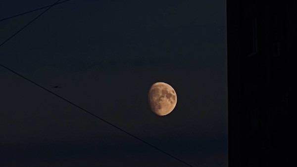 Первая неделя ретроградного Меркурия в июле 2025: как знаки зодиака пережили начало непростого периода  