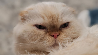 В Самарской области объявили штормовое предупреждение из-за новых морозов 