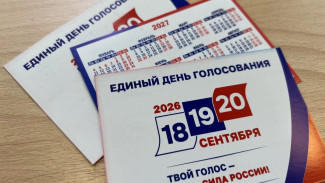 В Самарской области назвали процент явки избирателей на 15:00 19 сентября