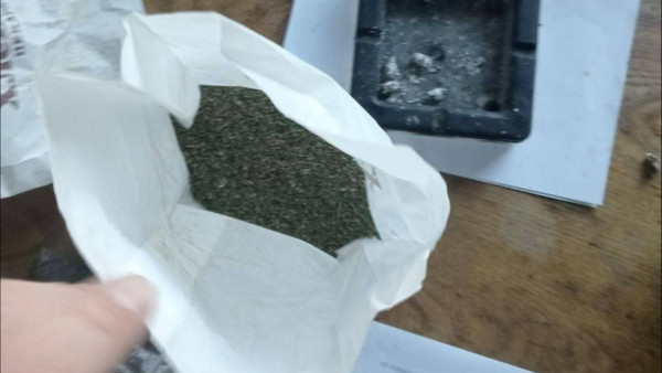 Сто граммов марихуаны изъяли в сарае у жителя Самарской области