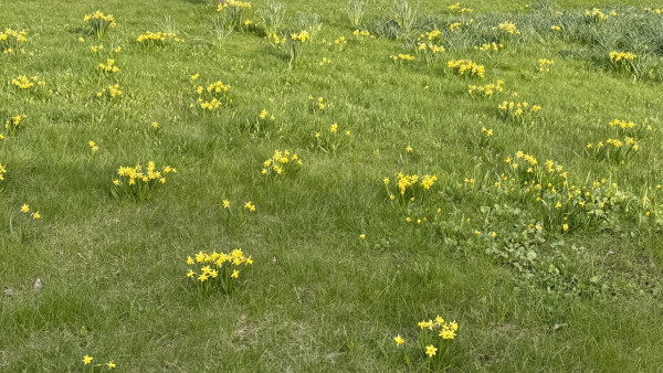 7 мая над Самарской областью будет светить опасное солнце