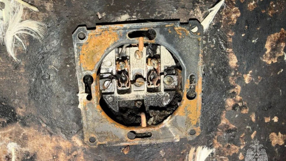 Неисправная электророзетка стала причиной пожара под Самарой