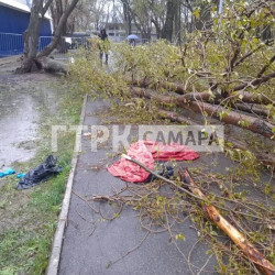 Появились кадры с места гибели девочки под деревом в Самаре 27 апреля