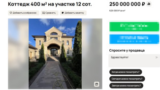 В Самаре на 2-й Просеке продают элитный коттедж за 250 млн рублей