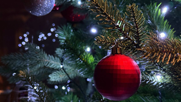 Самарские женщины ждут Новый год больше, чем мужчины