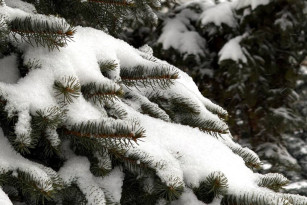 Снег, метель и сильный ветер: каким будет первое воскресенье 2026 года