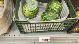 Покупатели в Самаре ахнули от цен на арбузы 