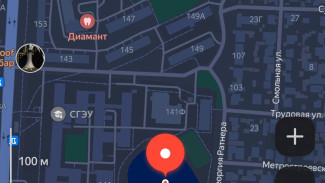 Жители Самары просят восстановить озеро Чайское на территории СГЭУ