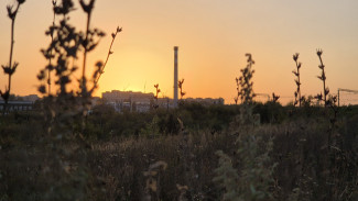 Народный календарь: 4 сентября. Почему в день Агафона Огуменника могут пропасть ценные вещи