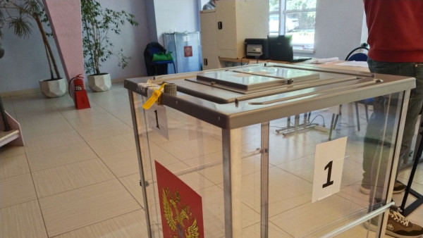 В избиркоме Самарской области рассказали, где живут самые активные избиратели