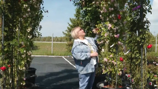 Вера Глухова рассказала, какое растение меняет вид сада и дачи