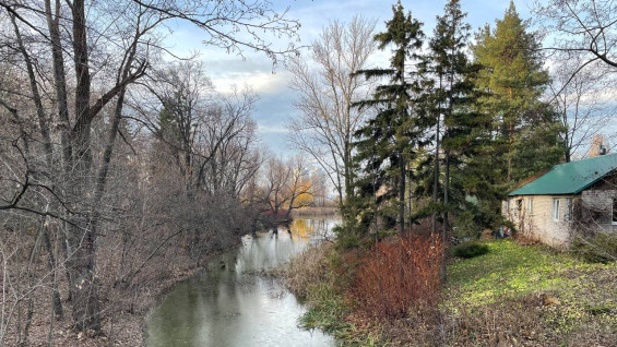 Назван последний день работы ботанического сада в Самаре