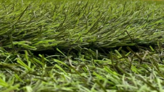 В Самаре обнаружены документы стадиона «Буревестник» 1941 года