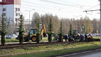В Самаре началась массовая высадка более 2 тыс кустарников на улице Ташкентской