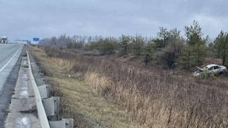 В Самарской области Lada Granta вылетела в кювет: два человека пострадали