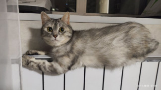 Самара лишилась поставщика отопления