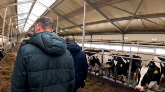 Почти 500 жителей Самарской области оказались в карантинной зоне