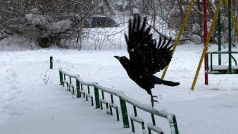 Прогноз погоды в Самаре и по области на субботу, 28 февраля 