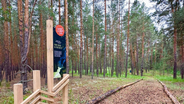 Экотропа «Сказочный борок» начала работать в Самарской области