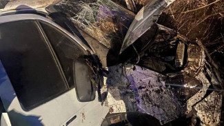 Названо число пострадавших в перевернувшейся «Газели» под Самарой