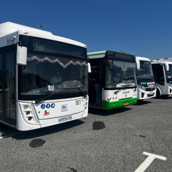 В Самарской области с 1 сентября 2026 года введут электронный реестр пассажирских перевозок