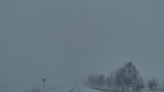 В Самарской области сняли все ограничения на трассах, введенные 16 февраля