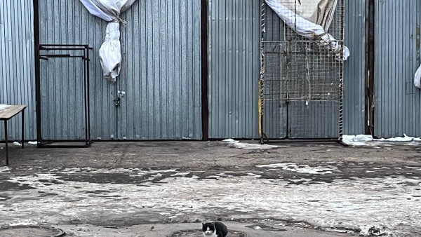 Самарцам рассказали, почему на сухие дороги зимой сыпят реагенты