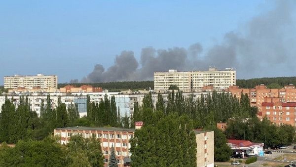 Срочно! В Тольятти горит лес! Хроника большого пожара - видео