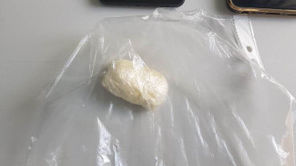 В Самаре на ж/д станции задержали женщину с транквилизатором для усыпления слонов