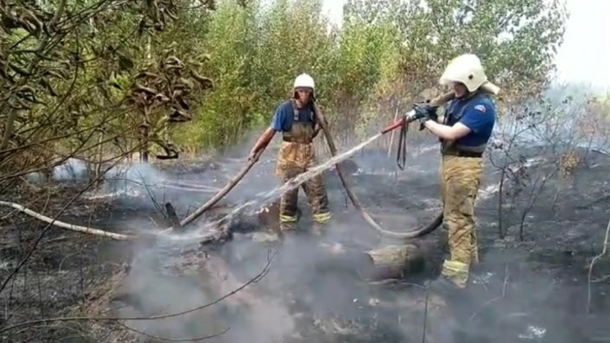 В Тольятти 11 июля продолжается большой пожар - заявление главы областного  МЧС – Новости Самары и Самарской области – ГТРК Самара