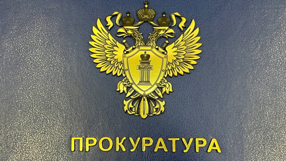 Самарская прокуратура истребует 72 лесных участка у владельцев через суд