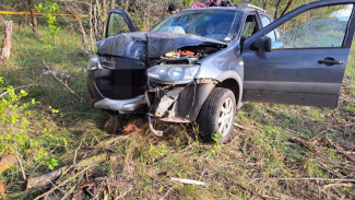 Полицейские рассказали о гибели водителя, врезавшегося в дерево под Самарой