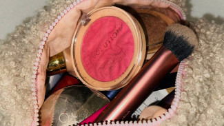 В Самаре французский бульдог едва не оставил визажиста без пальца и работы