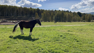 Синоптики рассказали, каким будет 15 сентября в Самарской области