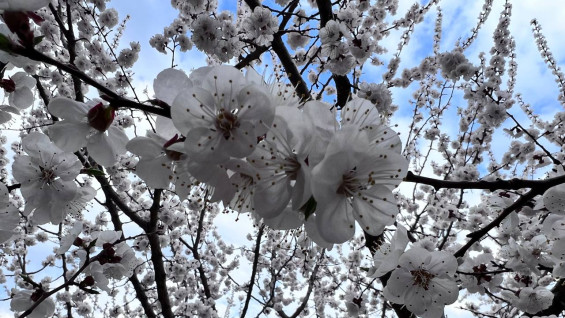 13 марта — день Василия Капельника: что нельзя делать, чтобы не стать нищим