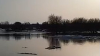 В Самарской области из-за паводка объявлено экстренное предупреждение