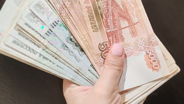 Стали известны зарплаты топ-3 самых богатых самарских ректоров вузов