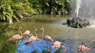 Гороскоп на 19 сентября: этим 3 знакам предстоят трудности и испытания