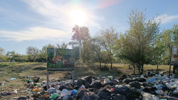 В Самарской области ликвидировали незаконную свалку