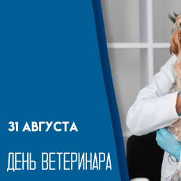 31 августа — День ветеринара: история праздника и открытки